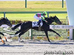 カラープリント(アルミ枠なし)2020年11月23日東京1R 2歳未勝利(コモレビキラリ)