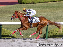 カラープリント(アルミ枠なし)2020年11月28日阪神1R 2歳未勝利(フランスゴデイナ)