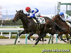 カラーパネル2020年11月28日阪神2R 2歳未勝利(ショウリュウレーヴ)