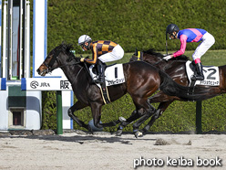 カラーパネル2020年11月28日阪神3R 2歳未勝利(エナジーロッソ)