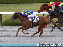 カラープリント(アルミ枠付き)2020年11月28日阪神8R 3歳以上2勝クラス(ゴッドバンブルビー)