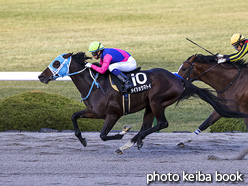 カラープリント(アルミ枠付き)2020年11月28日阪神10R 竹田城ステークス(メイショウマトイ)