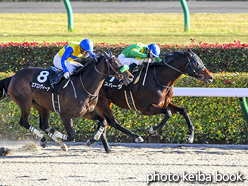 カラープリント(アルミ枠なし)2020年11月28日東京10R 銀嶺ステークス(スパーダ)