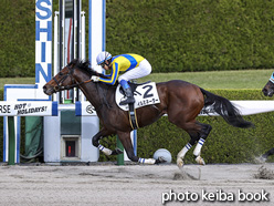 カラープリント(アルミ枠なし)2020年11月29日阪神4R 3歳以上1勝クラス(イルミネーター)