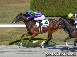 カラーパネル2020年12月5日阪神6R 2歳新馬(イナズマテーラー)