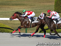 カラープリント(アルミ枠付き)2020年12月5日阪神7R 3歳以上1勝クラス(ジェットマックス)