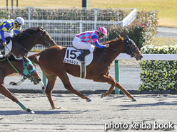 カラーパネル2020年12月5日中京5R 3歳以上1勝クラス(ロゼキルシュ)