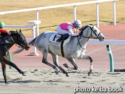 カラープリント(アルミ枠なし)2020年12月5日中京7R 3歳以上1勝クラス(チェリートリトン)