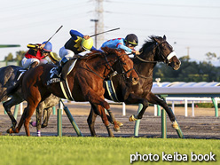 カラーパネル2020年12月5日中京12R 栄特別(モーソンピーク)