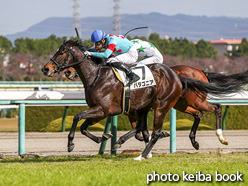 カラープリント(アルミ枠付き)2020年12月6日阪神3R 2歳未勝利(パタゴニア)