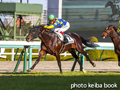 カラーパネル2020年12月6日阪神7R 2歳未勝利(レヴェッツァ)