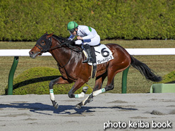 カラープリント(アルミ枠なし)2020年12月6日阪神8R 3歳以上1勝クラス(グレートバローズ)