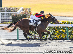 カラープリント(アルミ枠なし)2020年12月6日中京2R 3歳以上1勝クラス(エイシンバッカス)