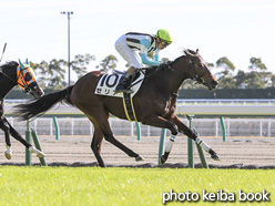 カラーパネル2020年12月6日中京4R 2歳未勝利(ゼリア)