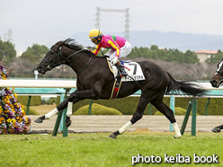 カラーパネル2020年12月12日阪神7R 2歳未勝利(テイエムタツマキ)