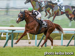 カラーパネル2020年12月12日阪神10R 境港特別(ナオミラフィネ)