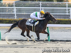 カラープリント(アルミ枠付き)2020年12月12日中京3R 3歳以上1勝クラス(アーマーバローズ)