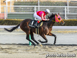 カラーパネル2020年12月12日中京10R 犬山特別(アメリカンシード)