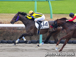 カラーパネル2020年12月12日中山7R 3歳以上1勝クラス(ポートロイヤル)