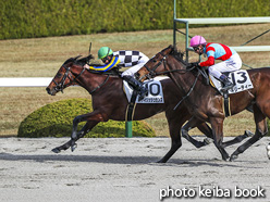 カラープリント(アルミ枠なし)2020年12月13日阪神1R 2歳未勝利(アイリッシュセンス)