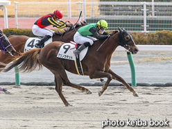 カラープリント(アルミ枠なし)2020年12月13日中京3R 3歳以上1勝クラス(クリノカサット)