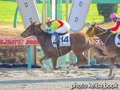 カラープリント(アルミ枠なし)2020年12月13日中山1R 2歳未勝利(フェスティヴノンノ)