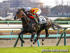 カラープリント(アルミ枠なし)2020年12月13日中山8R 3歳以上1勝クラス(リーガルバトル)