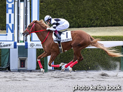 カラープリント(アルミ枠なし)2020年12月19日阪神7R 2歳1勝クラス(フランスゴデイナ)