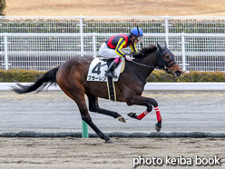 カラープリント(アルミ枠付き)2020年12月19日中京2R 3歳以上1勝クラス(フラーレン)