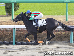 カラープリント(アルミ枠なし)2020年12月19日中山2R 2歳未勝利(アオイシチフク)