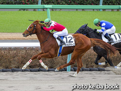 カラープリント(アルミ枠付き)2020年12月19日中山6R 2歳新馬(サッビアマーゴ)