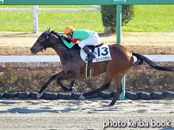 カラープリント(アルミ枠なし)2020年12月26日中山1R 2歳未勝利(スイートクラウン)