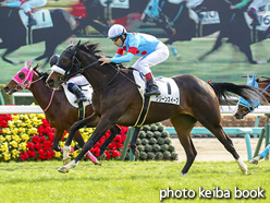 カラープリント(アルミ枠付き)2020年12月27日中山3R 2歳未勝利(クリーンスイープ)