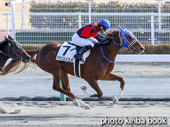 カラープリント(アルミ枠なし)2021年1月9日中京4R 3歳新馬(バリコノユメ)