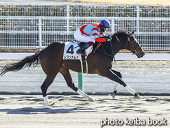 カラープリント(アルミ枠付き)2021年1月10日中京4R 3歳新馬(レプンカムイ)