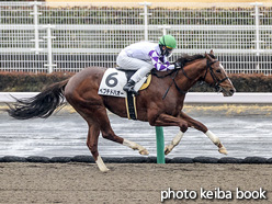 カラーパネル2021年1月23日中京2R 3歳未勝利(ペプチドハオー)