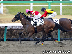 カラープリント(アルミ枠付き)2021年1月23日中山2R 3歳未勝利(トリストラム)