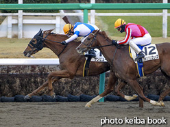 カラーパネル2021年1月23日中山8R 4歳以上1勝クラス(サンビュート)