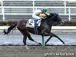 カラーパネル2021年1月24日中京3R 3歳新馬(ウルトラソニック)