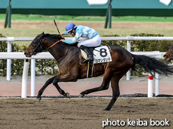 カラーパネル2021年1月30日小倉1R 3歳未勝利(コマンダンテ)