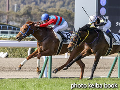 カラーパネル2021年1月31日小倉5R 3歳新馬(タマモダイジョッキ)