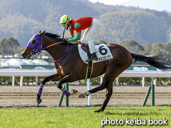 カラープリント(アルミ枠付き)2021年1月31日小倉9R 4歳以上1勝クラス(マイネルコロンブス)