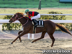 カラープリント(アルミ枠付き)2021年1月31日小倉12R 開聞岳特別(ホウオウライジン)