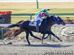 カラーパネル2021年1月31日東京1R 3歳未勝利(グアドループ)