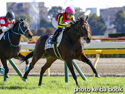 カラーパネル2021年1月31日東京5R 3歳未勝利(クロンターフ)