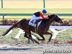 カラープリント(アルミ枠付き)2021年1月31日東京7R 4歳以上1勝クラス(アポロティアモ)