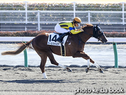 カラープリント(アルミ枠なし)2021年2月6日中京4R 3歳新馬(ハースファイア)