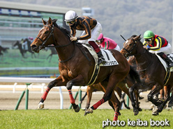 カラープリント(アルミ枠付き)2021年2月7日小倉7R 3歳未勝利(モズマンジロウ)