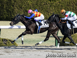 カラープリント(アルミ枠付き)2021年2月13日阪神1R 3歳未勝利(テーオーラフィット)