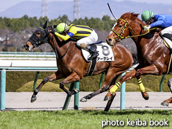 カラーパネル2021年2月13日阪神5R 3歳未勝利(アーダレイ)